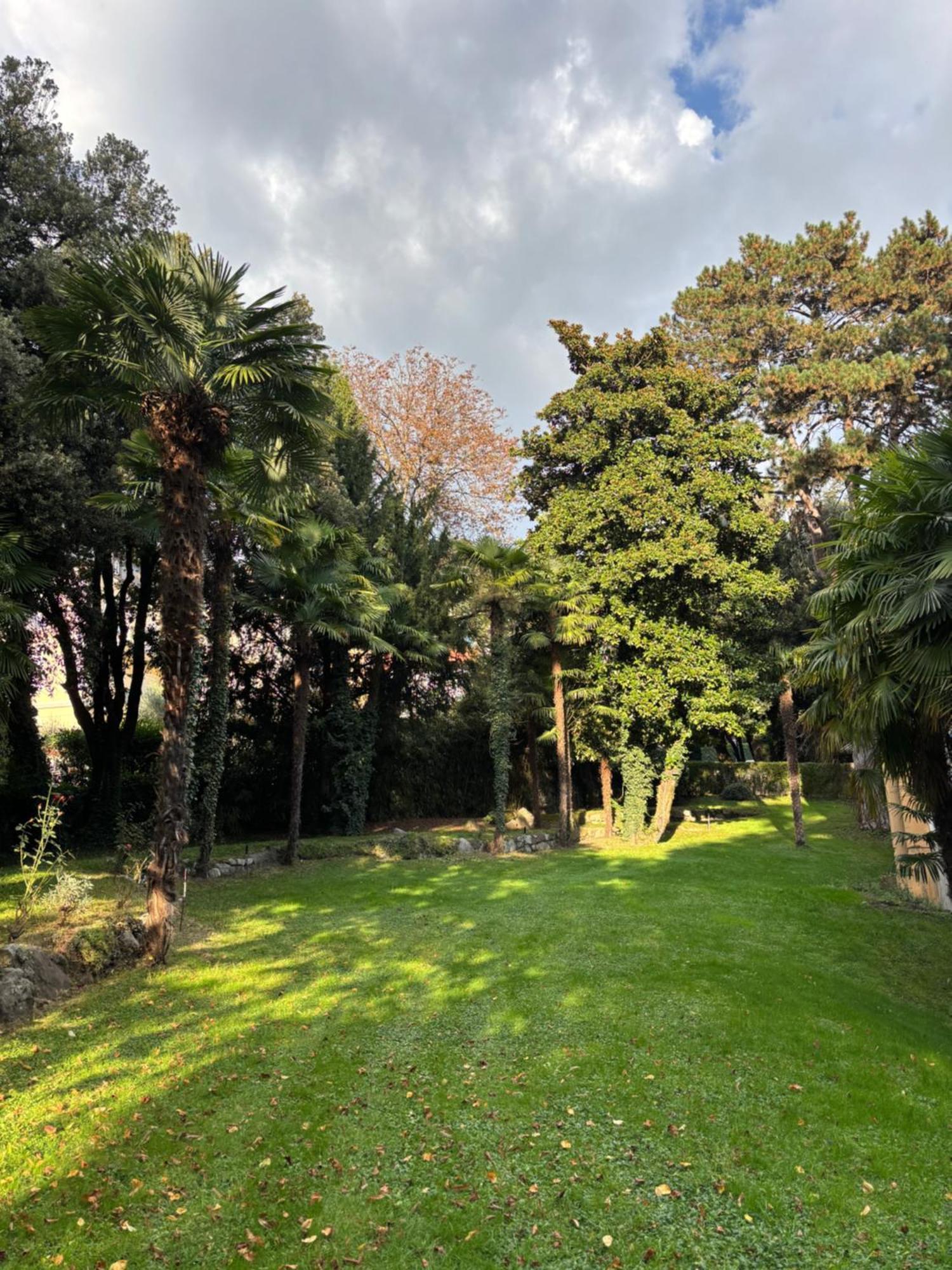 Central Palm Studio With Free Parking Merano Exterior foto